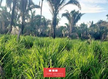 202407071220261751.jpeg · Fazenda para Venda em Recursolândia
