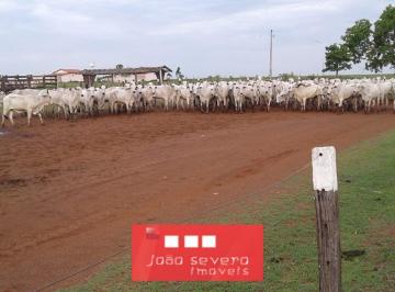 20230908174723939165.jpg · Fazenda para Venda em Sandolândia
