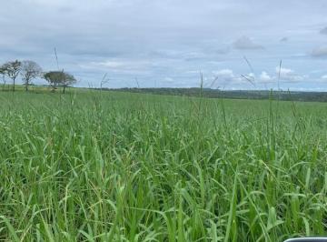 2023101619233734949.jpg · Fazenda para Venda em Barra do Garças