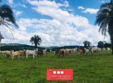 20231024170533828717.jpg · Fazenda para Venda em Caturaí
