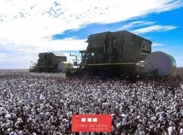 202504161236183966.jpeg · Fazenda para Venda em Primavera do Leste