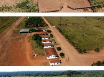 202504161244132887.jpeg · Fazenda para Venda em Rondolândia, 28 dormitórios, 30 banheiros, 20 vagas