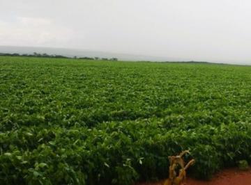 20240207110540496503.jpg · Fazenda para Venda em Diamantino