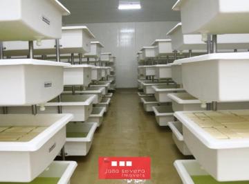 20240115180829444683.png · Área Industrial para Venda em Belo Horizonte