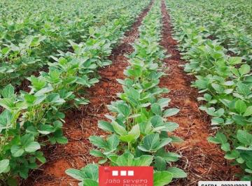 20240319134434608217.jpg · Fazenda para Venda em Nova Mutum