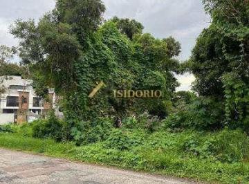 gIbsuaum29e59mH3vKAnHSuE-img_1588.jpg · TERRENO NO BARREINHA! 595m² DE ÁREA TOTAL