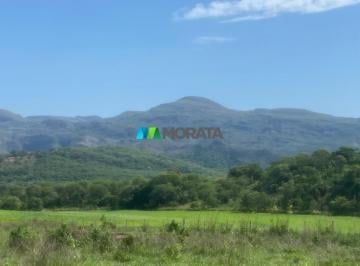 7925_iWmwY11sQ89dyI_792567fea2300a4ac.jpg · Imoveis - em Serra do Cipó