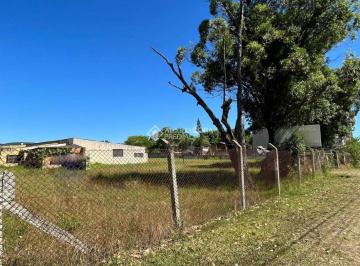 666730_iAoJY18GlaVKO_666730677c3e48da83b.jpg · Terreno no bairro Restinga