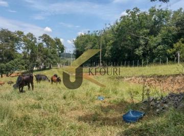 Foto 03 · Sítio à Venda, Lagoa Vermelha, Itapetininga -SP . Com 20.000,00 m², com riacho no fundo , área verde
