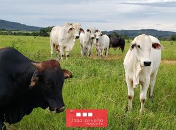 202412231712598555.jpeg · Fazenda para Venda em Campos Lindos