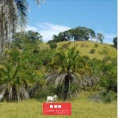202412231739214873.jpeg · Fazenda para Venda em Morrinhos