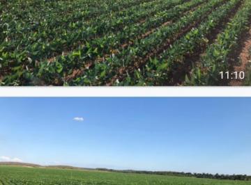 20250228170844203.jpeg · Fazenda para Venda em Rio Sono