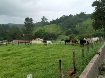Foto 01 · ÁREA em APARECIDINHA
