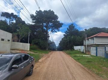 202504160855235827.jpg · Casa para Venda em São José dos Pinhais, Del Rey, 2 dormitórios, 1 banheiro, 4 vagas
