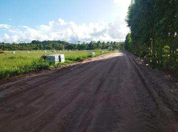 Lote à venda em rua pública, PONTA DO MANGUE, Maragogi, AL · Lote à venda em rua pública, PONTA DO MANGUE, Maragogi, AL