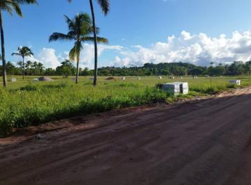 Lote à venda, PONTA DO MANGUE, Maragogi, AL · Lote à venda, PONTA DO MANGUE, Maragogi, AL