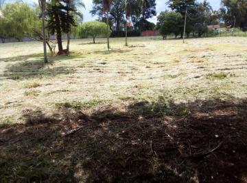 Foto 01 · Terreno, Jardim Europa, Cesário Lange, SP
