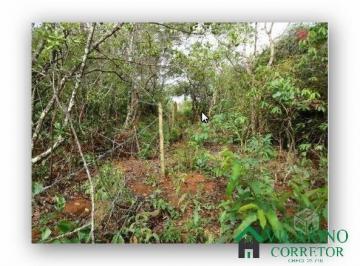 Rural · 45m² · 1 Quarto · TERRENO 10.000 M² QUINTAS DOS PALMARES