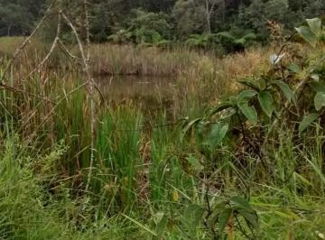 Rural · 50m² · 1 Quarto · 11 Vagas · TERRENO COM LAGOA EM BOM JESUS DO AMPARO