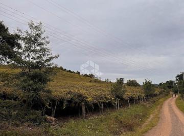 691025_i5EwY12RGu131KMgr_69102567fc5688381e7.jpg · Propriedade Rural com produção de Uvas Isabel de 30 a 40 mil Kg/Ano
