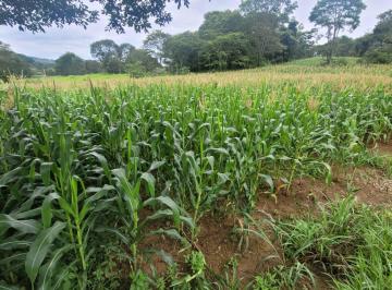 Rural de 6 quartos, Sobradinho · FAZENDA DE 91 HECTARES EM SOBRADINHO DF