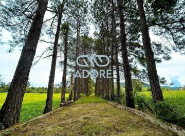 Rural · 1000m² · 12 Quartos · 4 Vagas · Sítio a venda na Cidade de Vargem - SP