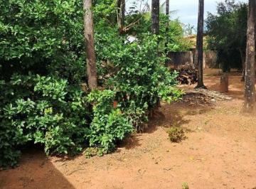 cba06d956e44d527b9325ba6ae8d2222d51d3512 · Área à venda, 2635 m² por R$ 1.650.000,00 - Setor Central - São Luís de Montes Belos/GO