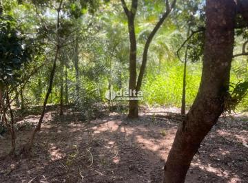 Rural · 16500m² · 2 Quartos · 4 Vagas · Chácara residencial com 2 quartos disponível para venda na região rural em Uberlândia-MG