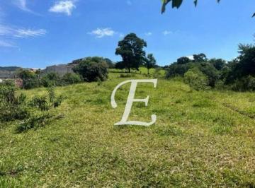 ace56acf8b33eedb0db49f93dd2765660c52936c · Terreno à venda, 12000 m² por R$ 12.700.000,00 - Parque Edu Chaves - São Paulo/SP