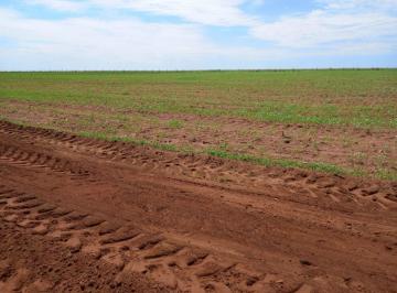 Rural · 18050000m² · FAZENDA NA REGIÃO DE  JUSCIMEIRA-MT!