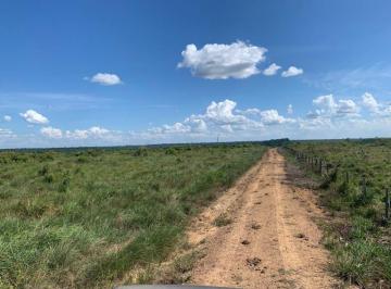Rural · 52300000m² · FAZENDA NA REGIÃO DE TAILÃNDIA-PA!