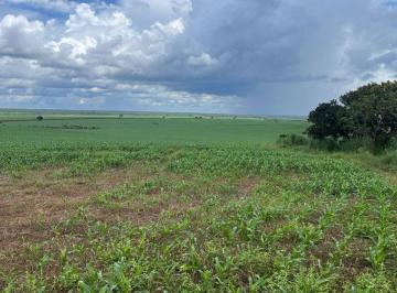 Rural · 29370000m² · FAZENDA A VENDA NA REGIÃO DE PEDRO AFONSO-TO!
