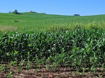 Rural · 163350m² · Área Rural à venda no Serrinha ROD. 445 - 6,75 ALQ POR r$ 400.000 O ALQUEIRE - Londrina/PR