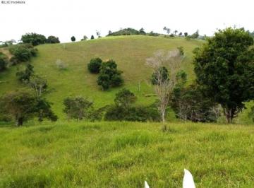 Foto 01 · Fazenda de gado Muniz Ferreira, Bahia