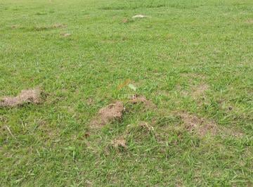 0 · terreno à venda em Villa Lombarda
