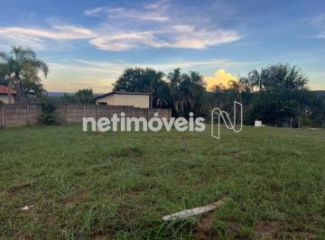 c068c3e2-4bc6-424b-a594-4966e47e6688.webp · BELVEDERE GREEN lote plano com 1.000 m2