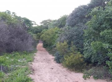 Terreno , Nísia Floresta · Terrenos em Pium - 5.000m2 - Escriturados e Próximos ao Parque Aquático