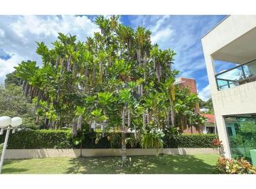 Casa · 385m² · 6 Quartos · 8 Vagas · Vendo Casa em Aldeia 300 m² no CASA GRANDE DE ALDEIA