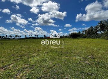 17523_i864D56neT9267S1_17523680784951f883.jpg · Imoveis - em São José de Mipibu