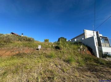 36407374_g.jpg · 
                                Terreno à venda em Ana Rech, Caxias do Sul
                        