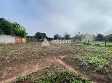 whatsapp-image-2024-07-17-at-11-20-321721226194540.jpeg · Terreno à venda, Colônia Dona Luíza, Ponta Grossa, PR