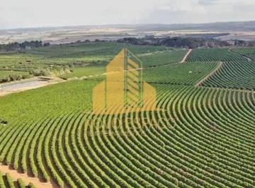 Rural · 4000000m² · Rurais à venda - em Rio Paranaíba