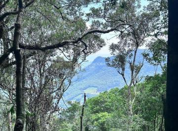 705914_iC6K95Rx491H5nc3_7059146807dbef81a6f.jpg · Rurais à venda - em São Francisco de Paula