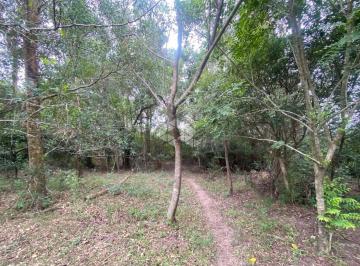 692091_i5vX439D3y4461e_6920916807fb7ad9e19.jpg · Terreno a venda no bairro Diácono João Luiz Pozzobon
