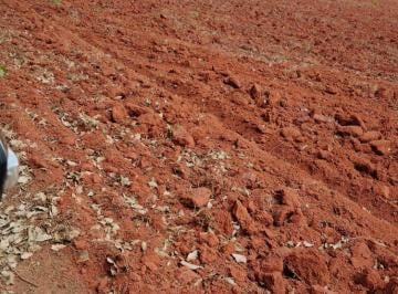 Rural · 6600000m² · FAZENDA A VENDA NA REGIÃO DE  CRISTALÂNDIA-TO