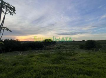 Terreno · 6500m² · VENDA | Terreno,  em Água Boa, Paiçandu