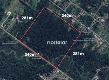 2566a5a7471c87de43cc4c1f8acd24477d7fea49 · Terreno à venda, 67440 m² por R$ 7.000.000,00 - Jardim Colúmbia - Mongaguá/SP