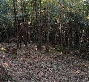 332b871246f499b2d0b3a11461e689e51a838b6b · Terreno à venda, 3060 m² por R$ 200.000,00 - Vale das Fontes - Embu-Guaçu/SP
