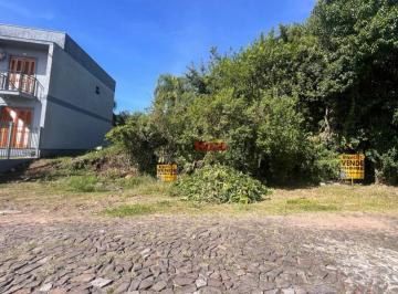 36418586_g.jpg · 
                                Terreno à venda em Igrejinha, Bairro Bom Pastor
                   