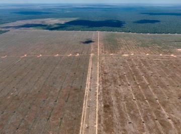 Rural , Gaúcha do Norte · Negócio para grande produtor